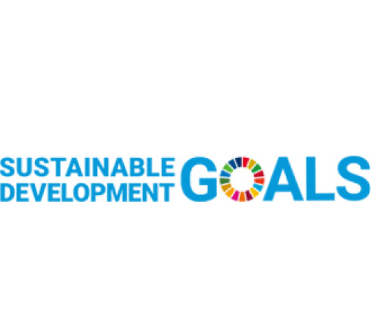 SDGs
