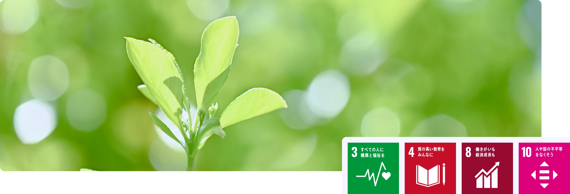 環境に関する取り組み